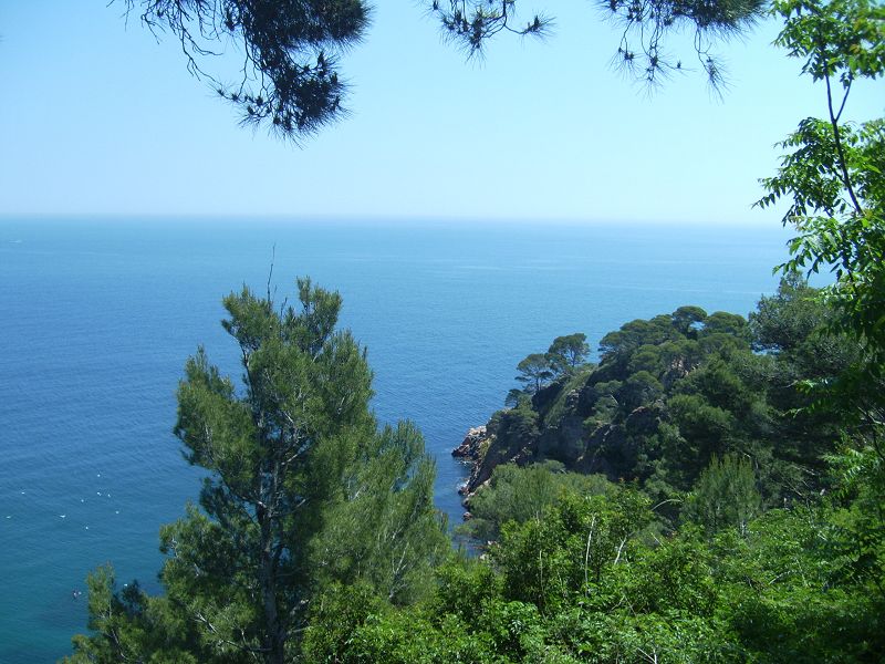 Cap.Roig
