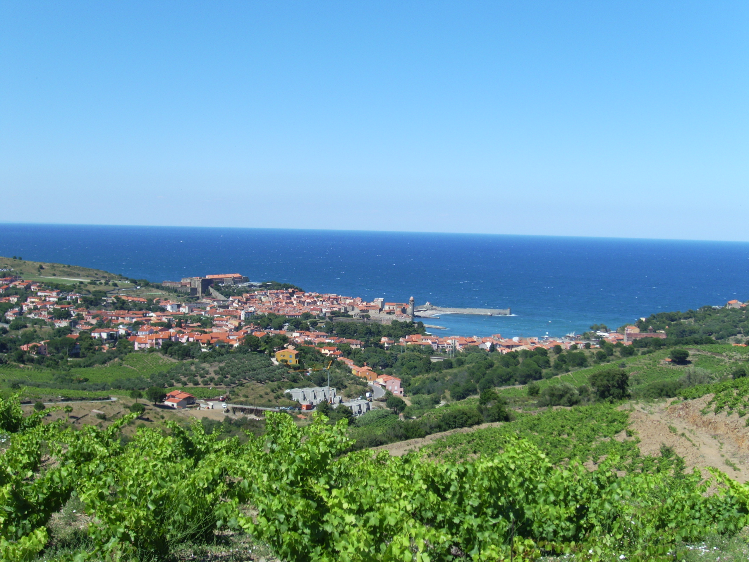 Collioure