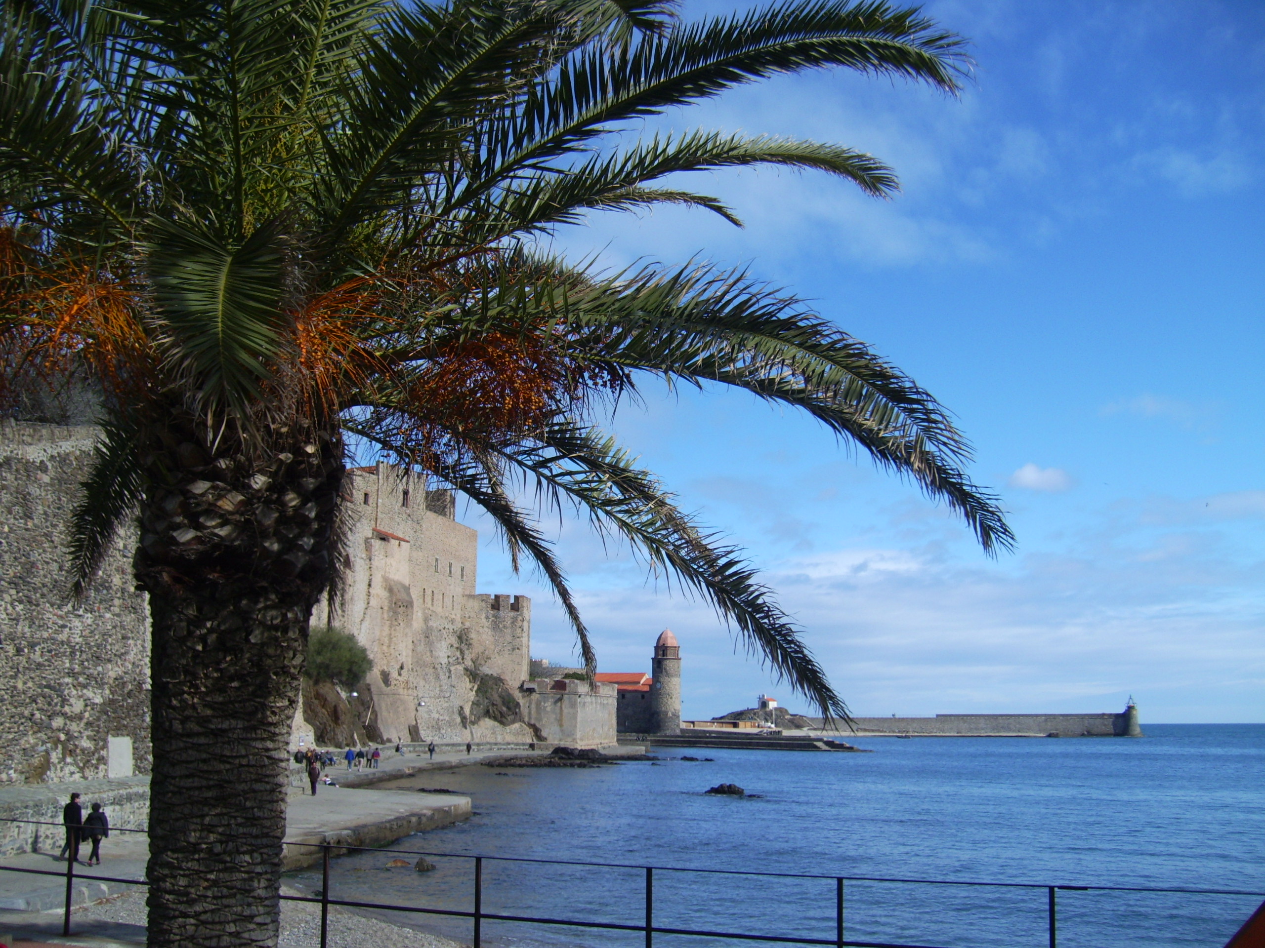 Collioure